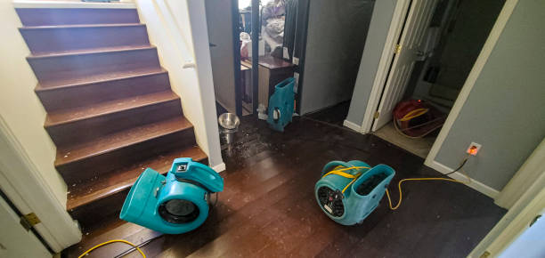 Best Water damage restoration near me  in Waverly, NY